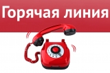 Работает «горячая линия»